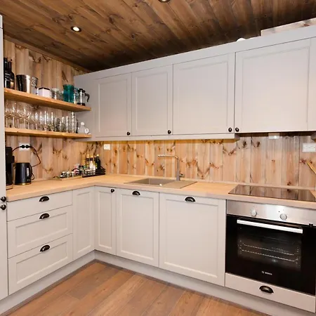 بيت خشبي Trysilsetra 40