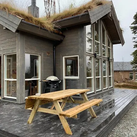 Trysilsetra 40 * טריסיל