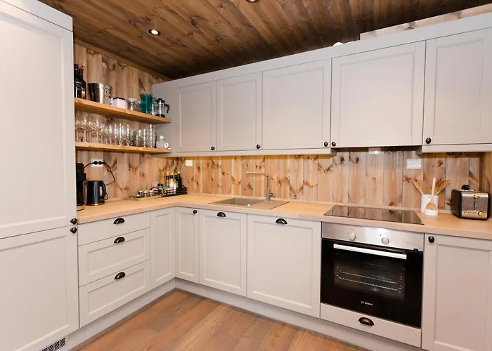 بيت خشبي Trysilsetra 40